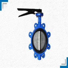 Lug Type Butterfly Valve