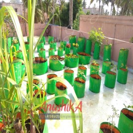 Maadi Thottam KIT- Installation 10 Plant