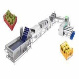 Mango Process Line