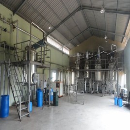 Marigold Pigment Extraction Plant