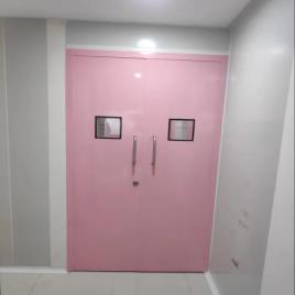 Mild Steel Clean Room Double Door