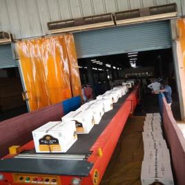 Mild Steel Telescopic Belt Conveyor