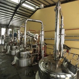 Milk Thistle Seed plant manufacturers in hyderabad