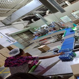 Modular Belt Conveyor System, Capacity: 1-50 Kg Per Feet