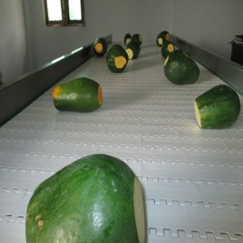 Modular Belt Conveyors, for Packaging