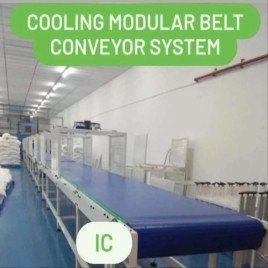 Modular Cooling Conveyor, Capacity: 1-50 kg per feet