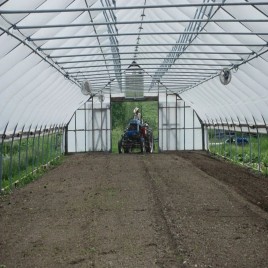 Modular Walk In Tunnel Polyhouse, Film