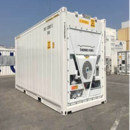 MS 40 Feet Refrigerated Cold Storage Container Rental Service