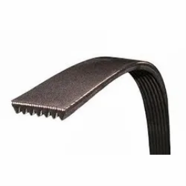 Multi Ribbed V Belt