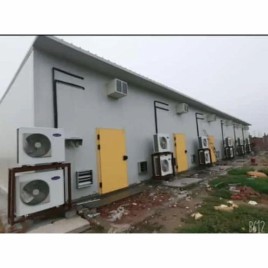 Mushroom Plant Growth Chamber