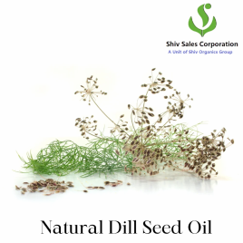 Natural Dill Seed Oil