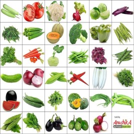 Vegetable Seeds