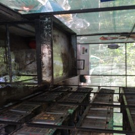 Neem Enviro Organic Waste Composter (Owc)