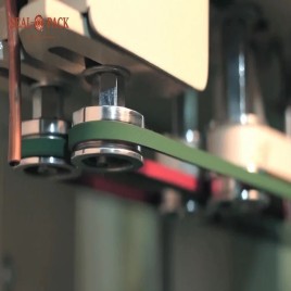 NGF Baby Vertical Continuous Band Sealer