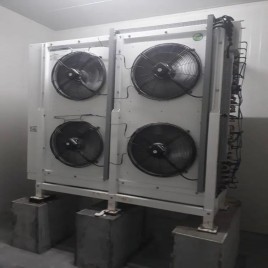 Number of Doors: 1 500 L Blast Freezer, 20x10 Inches