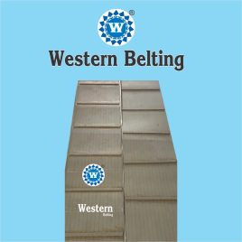 Nylon Canvas Cleat Conveyor Belt, Belt Thickness: 5 mm