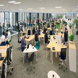 Offline Design Turnkey Office Interior Services