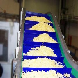Otis Belt Conveyor Bucket Elevator