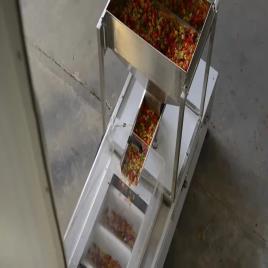 Pack tech Wafer Pouch Packing Machine