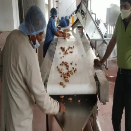 PASSION Stainless Steel Packing Belt Conveyor, For Pharma, Material Handling Capacity: 200 KG To 500 KG