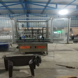 Pharmaceutical Packaging Machines