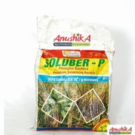 Phosphobacteria Bio Fertilizer