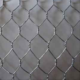PLASTIC Hexagonal Wire Fence, Wire Diameter: 0.5 MM, Height: 1 Mtr To 2.5 Mtr