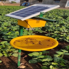 Plastic PRAKASH DEEP Solar Insect Trap, For Agriculture, Packaging Type: Box