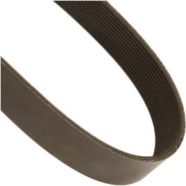 Poly V Belt