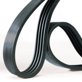 Poly V Belt