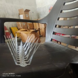 Polycarbonate Bird Spike, For Buildings, Size: 1 Feet Lenth