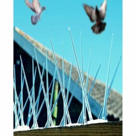 Polycarbonate Bird Spikes