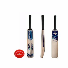 Popular Willow Cricket Bat, Junior Small