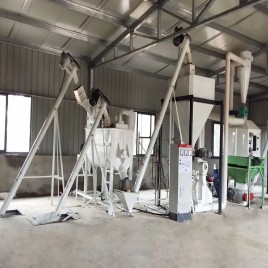 Poultry Feed Making Machine, 300 Kg/Hr