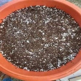 Powder Enriched Pot Mix For Terrace Garden