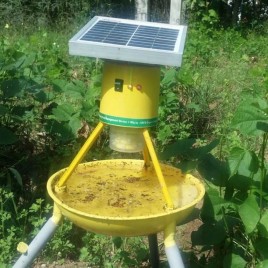 PRAKASH DEEP Farm Solar Insect Trap, 1.5 acre