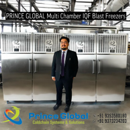 Prince Global Iqf Blast Freezer - Multi Chamber, Capacity: 2000 L