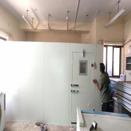 PUF Color Coated Cold Storage Insulated Panels, Thickness: >80 mm