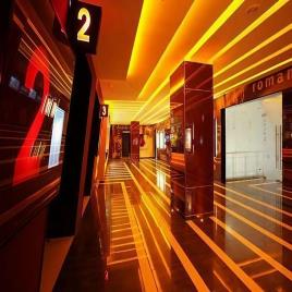 Renovation Of Cinema Halls