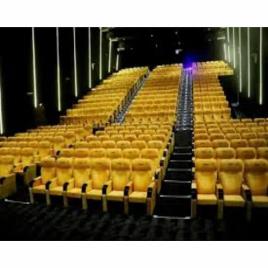 Renovation Of Cinema Halls