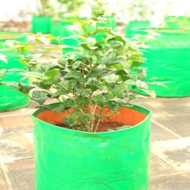 Round Green HDPE Grow Bag 18"" X 18""(200 GSM), For Flowers