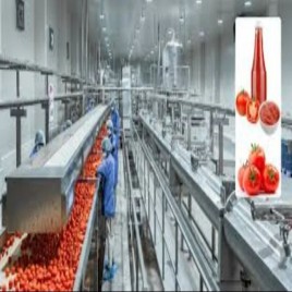 Semi Automatic Ketchup Paste Jam Jelly Processing Line, 500 kg/hr