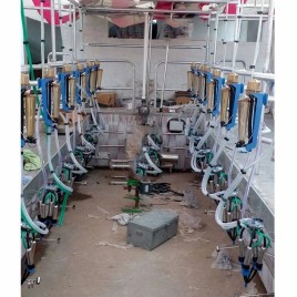 Semi Automatic Milking Parlour