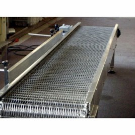 SEW Stainless Steel Wire Mesh Chain Conveyor, Capacity: 50-100 Kg Per Feet