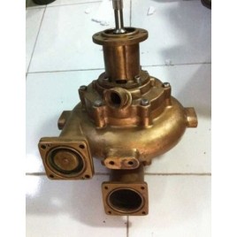 Single Phase Cummins Raw Water Pump