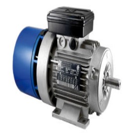 Single Phase Electric Motor