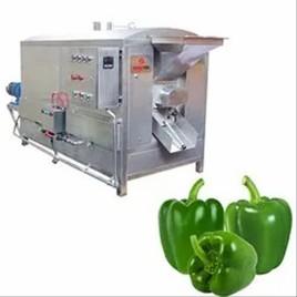 SNACTEK Capsicum Batch Roasting Machine, 1.5 HP-3HP