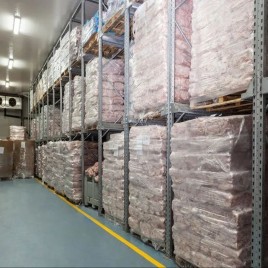 Solar Cold Storage Room