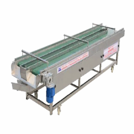 Sorting & Inspection Conveyor
