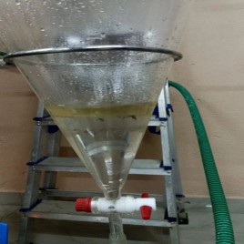 SS 304 Steam Cum Hydrodistillation Unit, Capacity: 500 liter